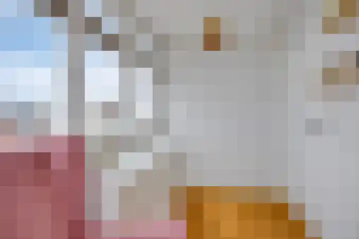 Nicolaas Ruychaverstraat 76 Utrecht thumbnail 31