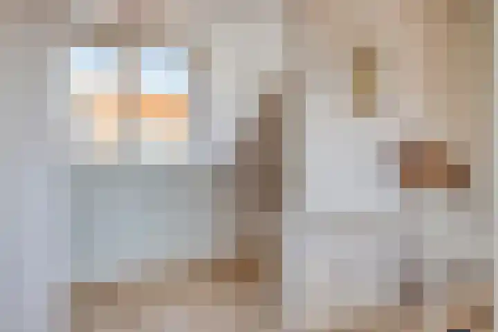 Nicolaas Ruychaverstraat 82 Utrecht thumbnail 31