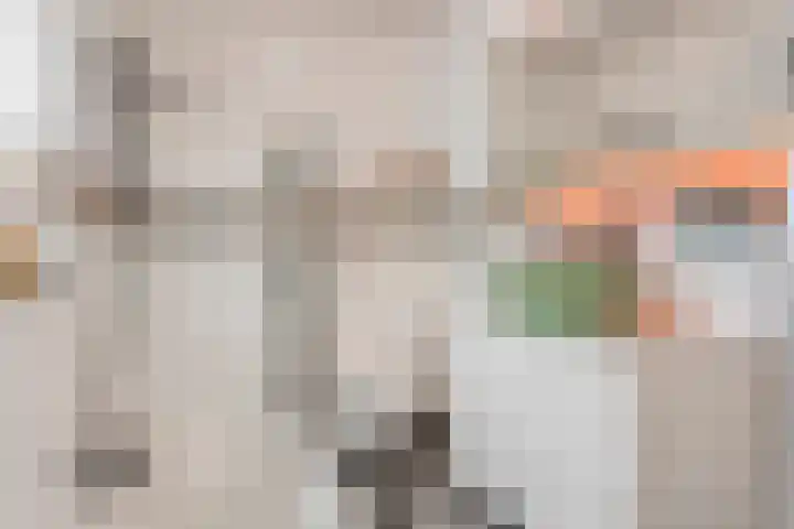 Nicolaas Ruychaverstraat 82 Utrecht thumbnail 4