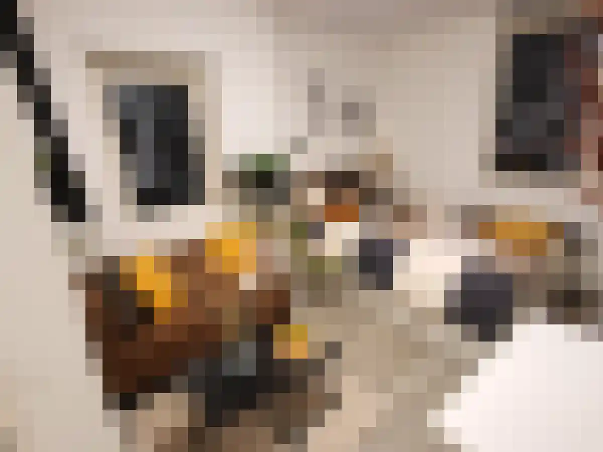 Nicolaas Ruychaverstraat 84 Utrecht thumbnail 4