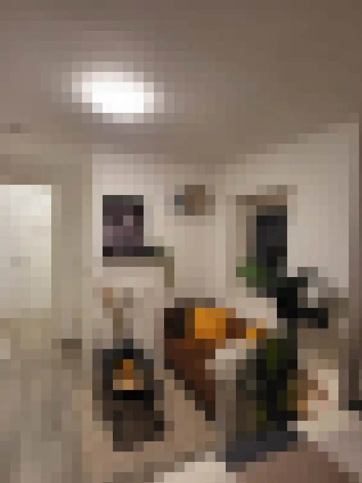 Nicolaas Ruychaverstraat 84 Utrecht thumbnail 5