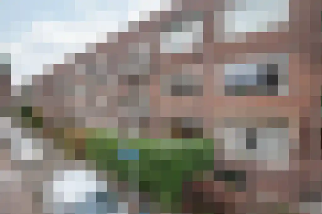 Nicolaas Ruyschstraat 14 BGL Rotterdam thumbnail 13