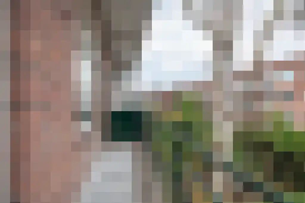 Nicolaas Ruyschstraat 14 BGL Rotterdam thumbnail 23