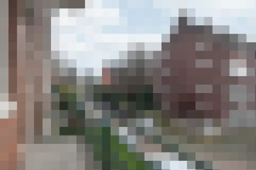 Nicolaas Ruyschstraat 14 BGL Rotterdam thumbnail 24