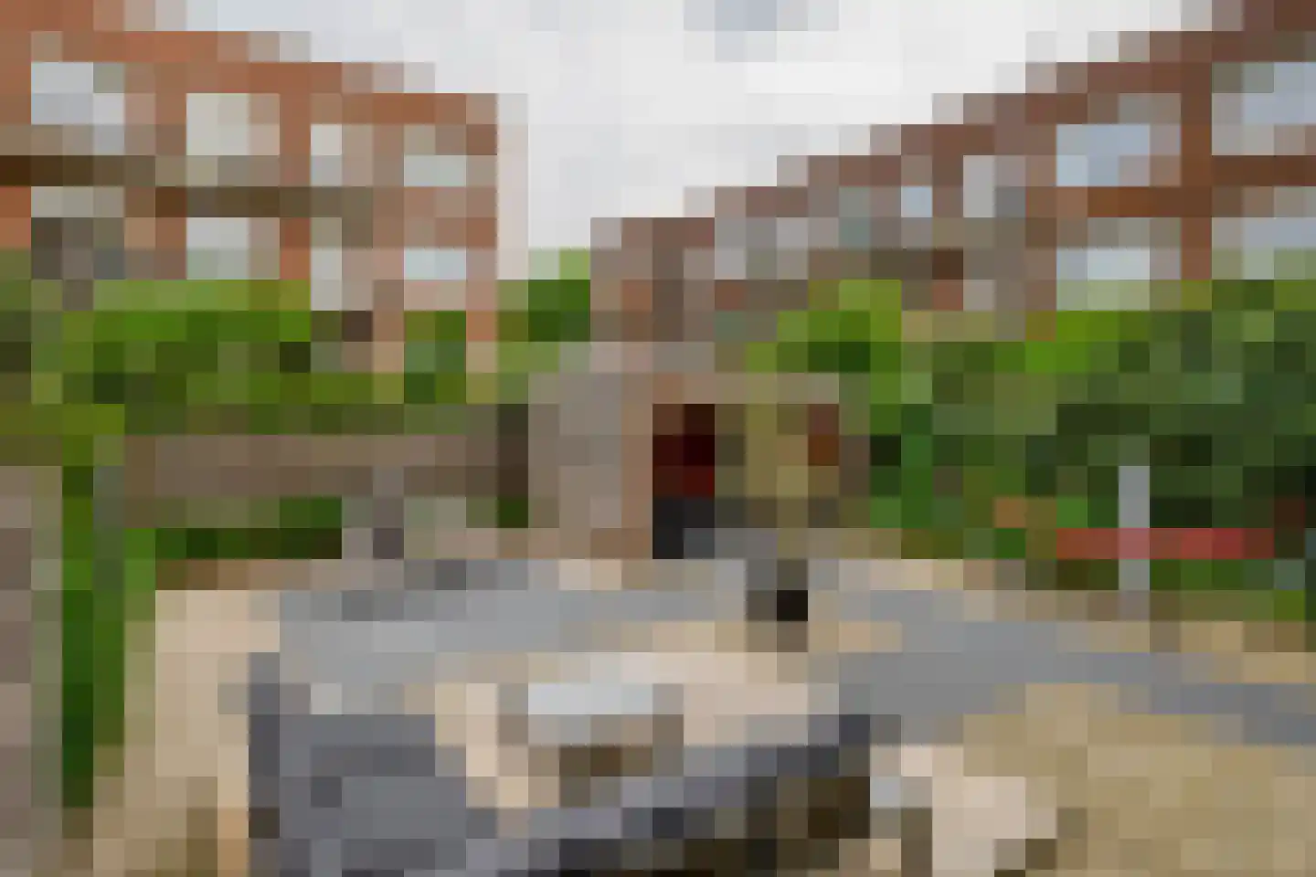 Nicolaas Ruyschstraat 16 01R Rotterdam