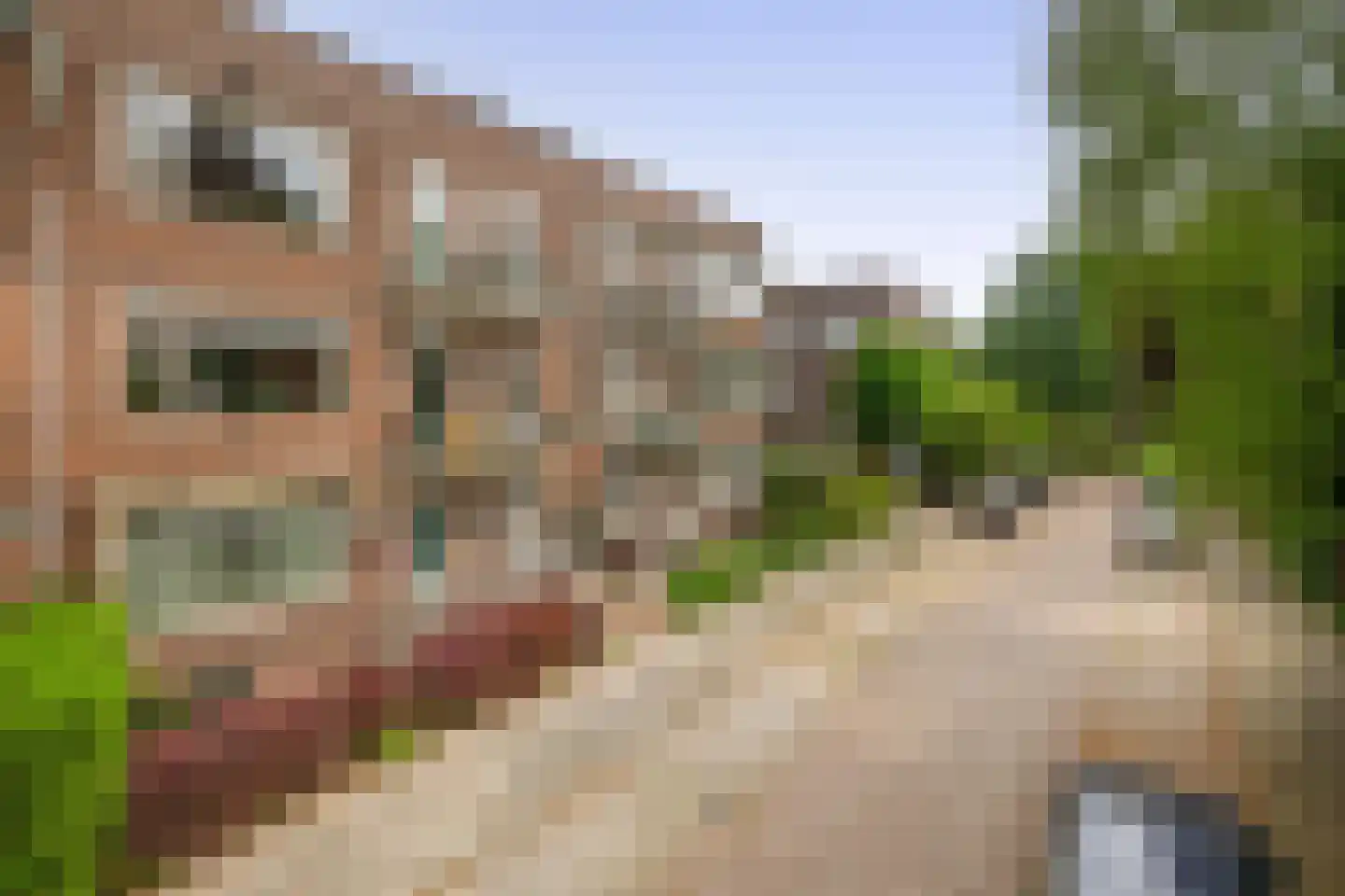 Nicolaas Ruyschstraat 16 01R Rotterdam thumbnail 38