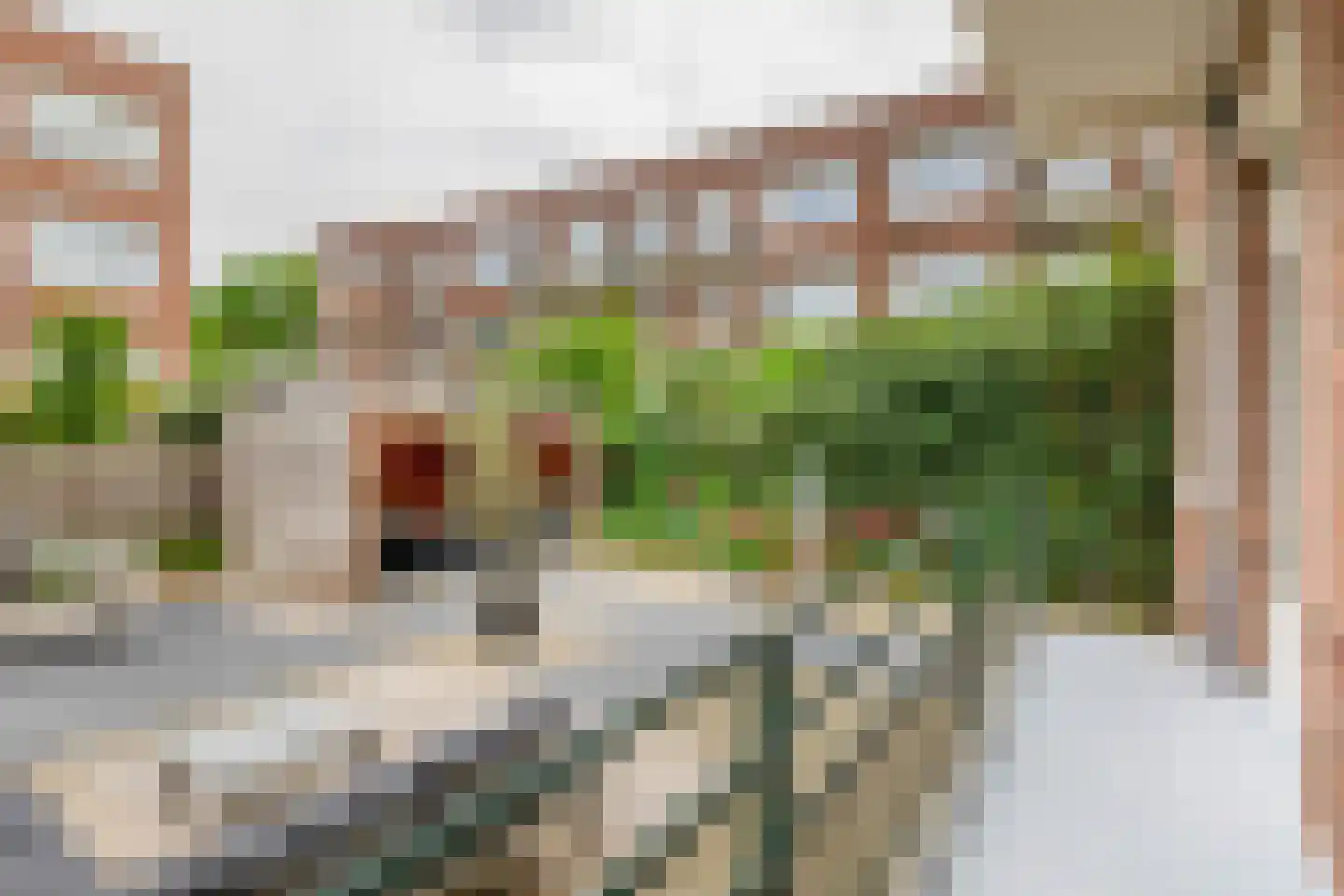 Nicolaas Ruyschstraat 16 BGR Rotterdam thumbnail 23