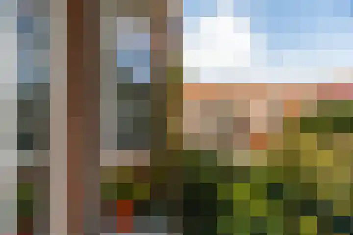 Nicolaas Ruyschstraat 6 01 Rotterdam thumbnail 32