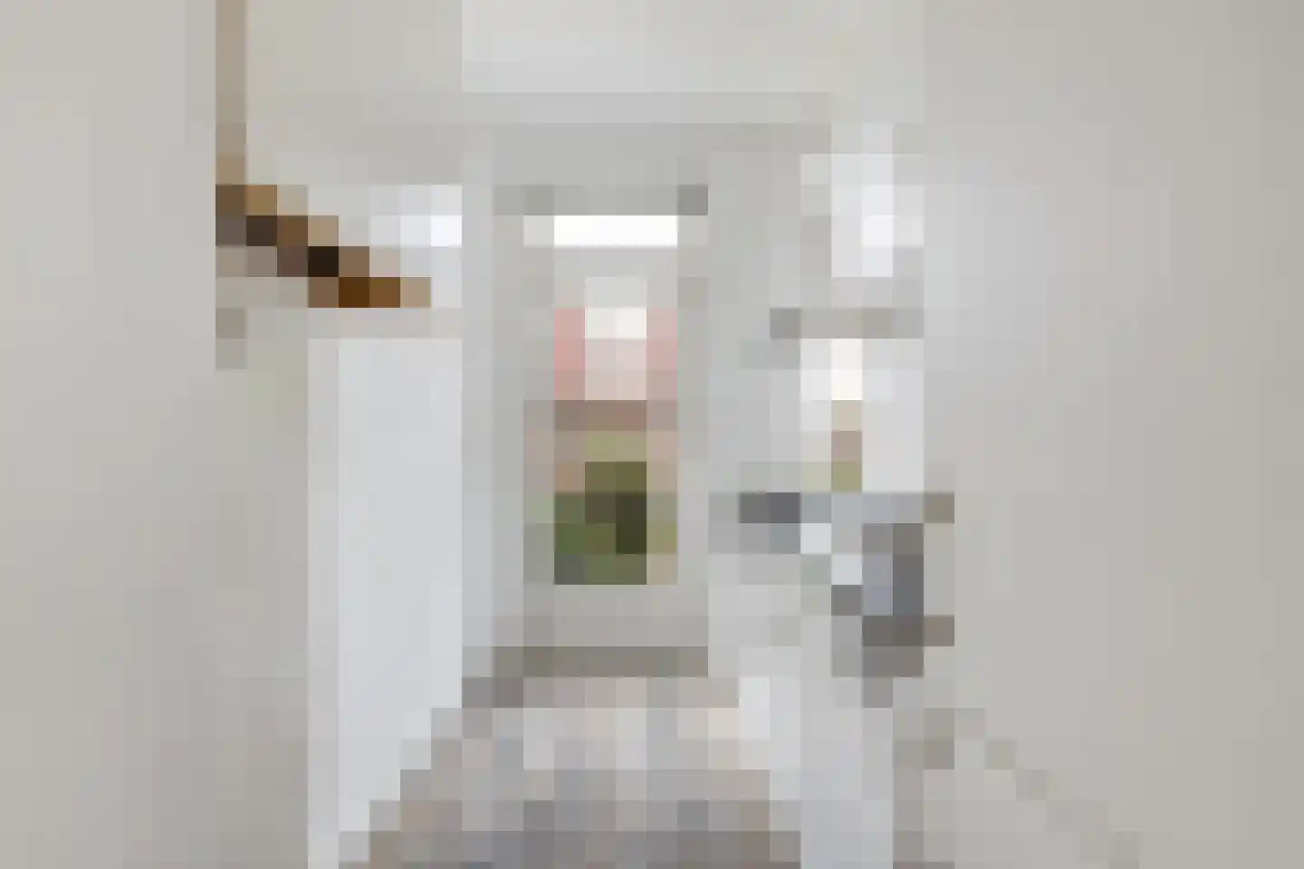 Nicolaas Ruyschstraat 8 01L Rotterdam thumbnail 12