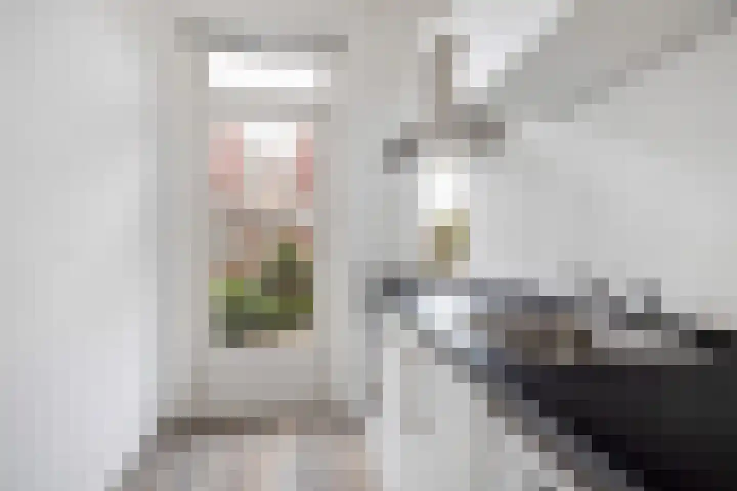 Nicolaas Ruyschstraat 8 01L Rotterdam thumbnail 13