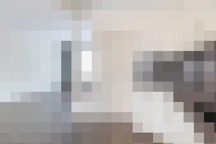 Nicolaas Sichmansstraat 12 Eersel thumbnail 15