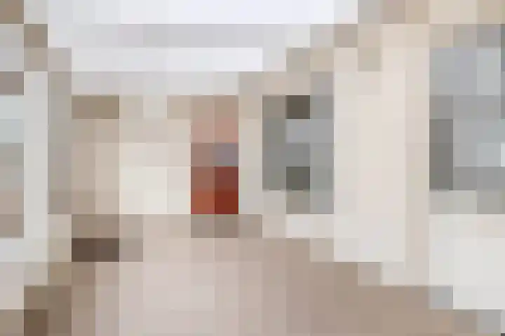 Nicolaas Sichmansstraat 12 Eersel thumbnail 16