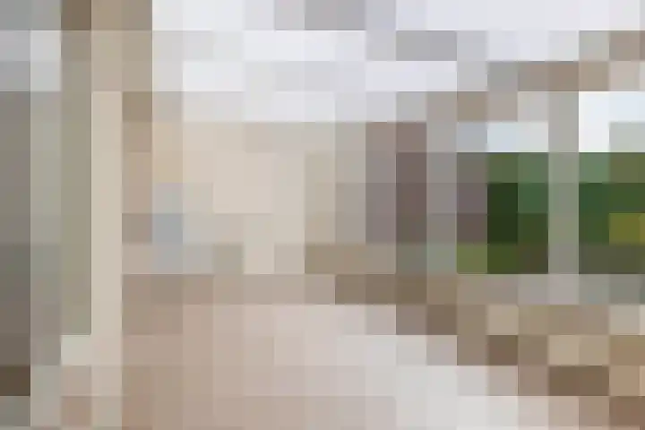 Nicolaas Sichmansstraat 12 Eersel thumbnail 17