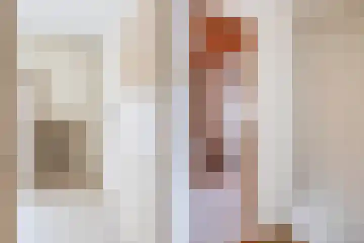 Nicolaas Sichmansstraat 12 Eersel thumbnail 18