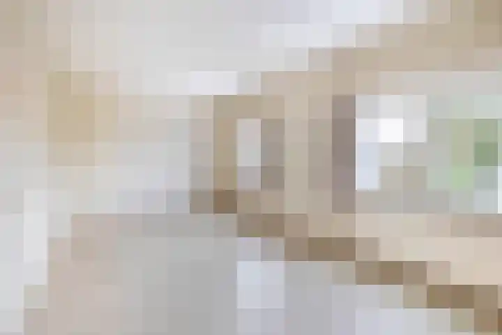 Nicolaas Sichmansstraat 12 Eersel thumbnail 19