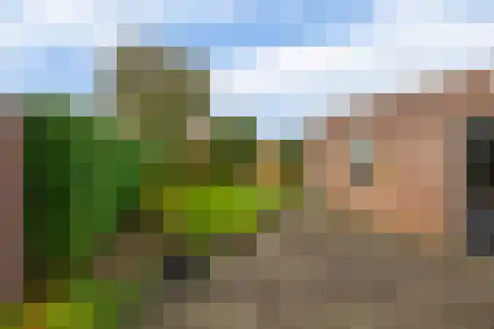 Nicolaas Sichmansstraat 12 Eersel thumbnail 25