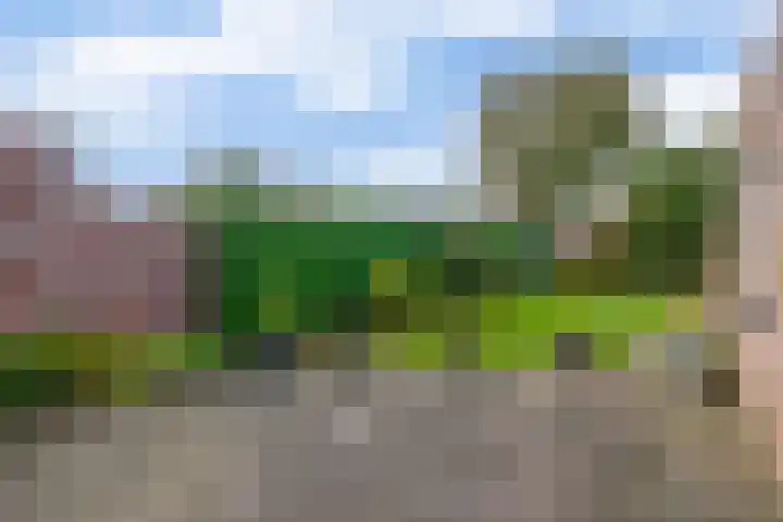 Nicolaas Sichmansstraat 12 Eersel thumbnail 26