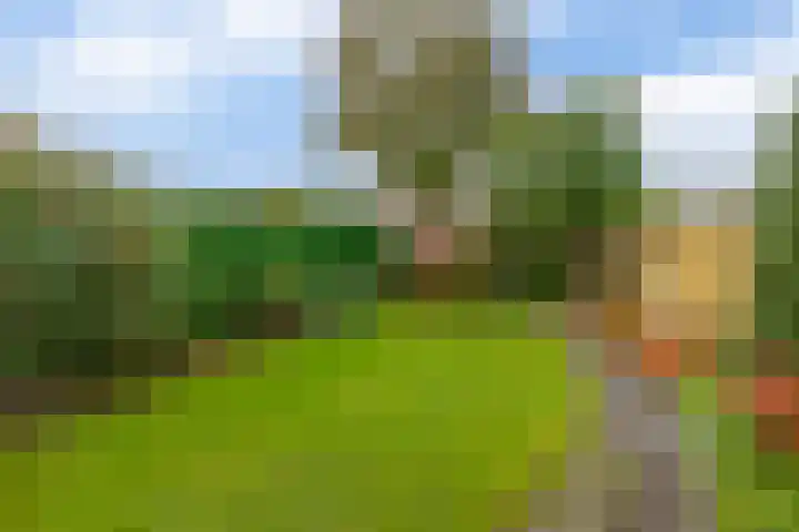 Nicolaas Sichmansstraat 12 Eersel thumbnail 27