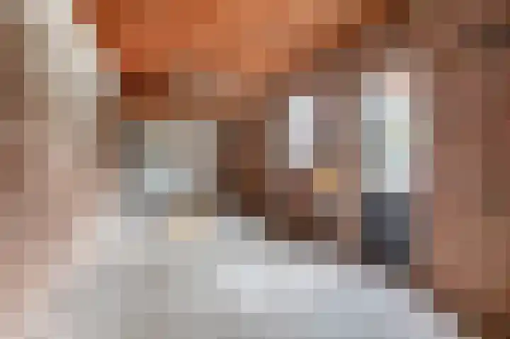 Nicolaas Sichmansstraat 12 Eersel thumbnail 31
