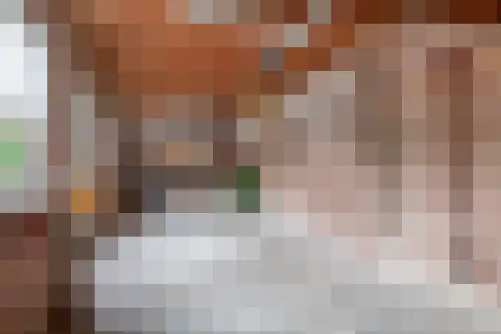 Nicolaas Sichmansstraat 12 Eersel thumbnail 32