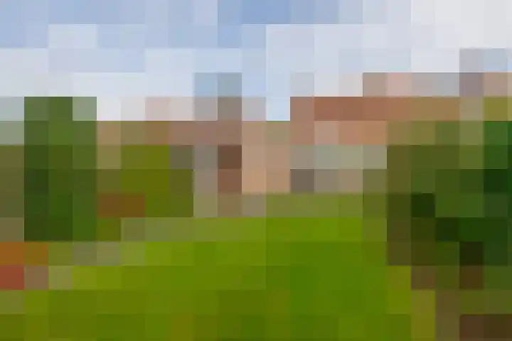 Nicolaas Sichmansstraat 12 Eersel thumbnail 4