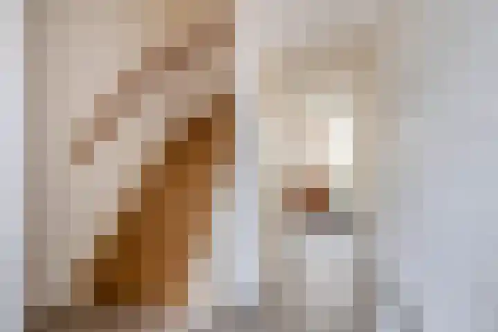Nicolaas Sichmansstraat 12 Eersel thumbnail 8
