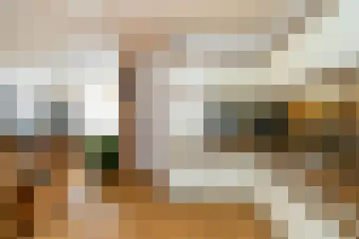 Nicolaas Sichmansstraat 13 Eersel thumbnail 11
