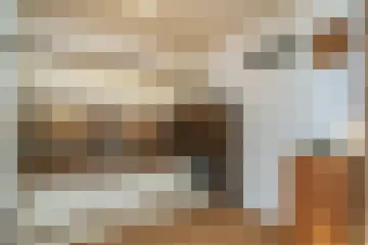 Nicolaas Sichmansstraat 13 Eersel thumbnail 12