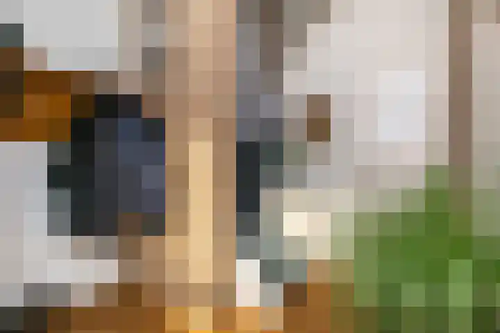 Nicolaas Sichmansstraat 13 Eersel thumbnail 14
