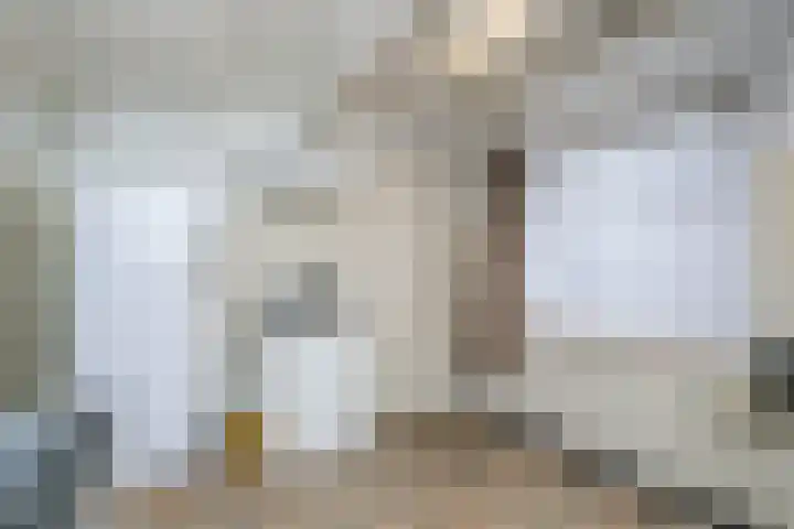 Nicolaas Sichmansstraat 13 Eersel thumbnail 17
