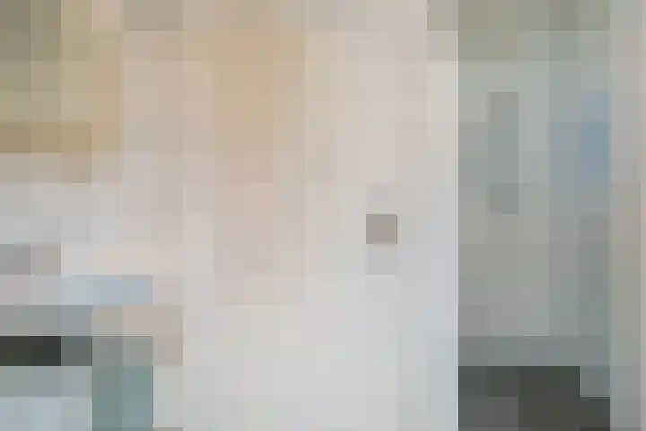 Nicolaas Sichmansstraat 13 Eersel thumbnail 18