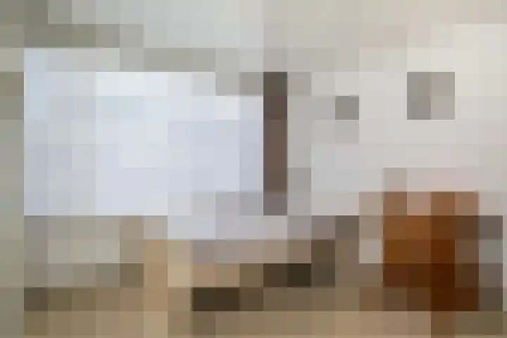 Nicolaas Sichmansstraat 13 Eersel thumbnail 25