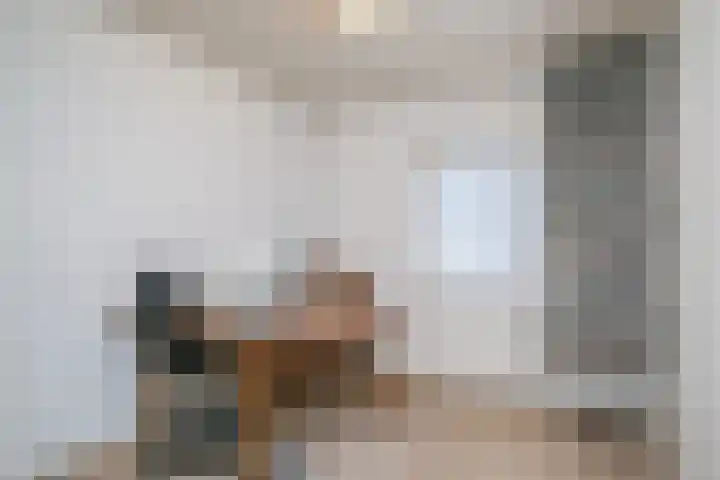 Nicolaas Sichmansstraat 13 Eersel thumbnail 26