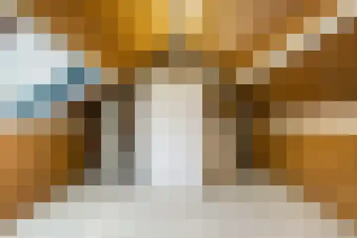 Nicolaas Sichmansstraat 13 Eersel thumbnail 27