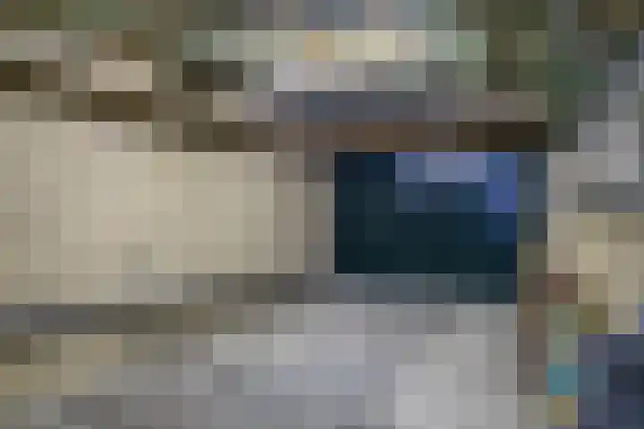 Nicolaas Sichmansstraat 13 Eersel thumbnail 35