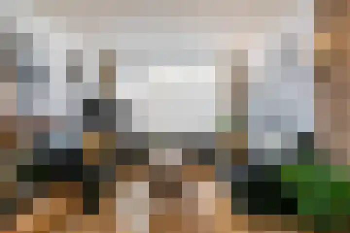 Nicolaas Sichmansstraat 13 Eersel thumbnail 4