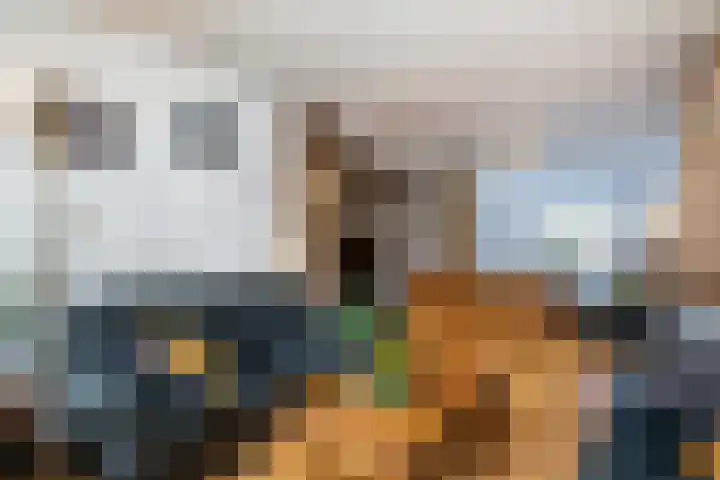 Nicolaas Sichmansstraat 13 Eersel thumbnail 5