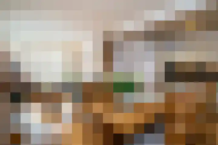 Nicolaas Sichmansstraat 13 Eersel thumbnail 6