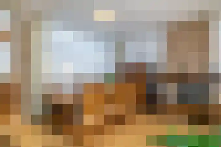 Nicolaas Sichmansstraat 13 Eersel thumbnail 7