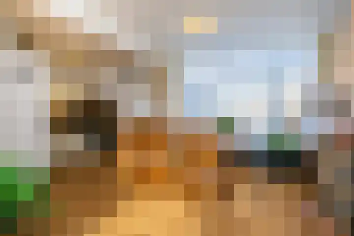 Nicolaas Sichmansstraat 13 Eersel thumbnail 9