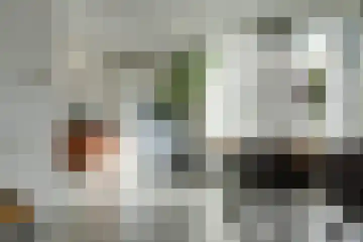 Nicolaas Sichmansstraat 17 Eersel thumbnail 12
