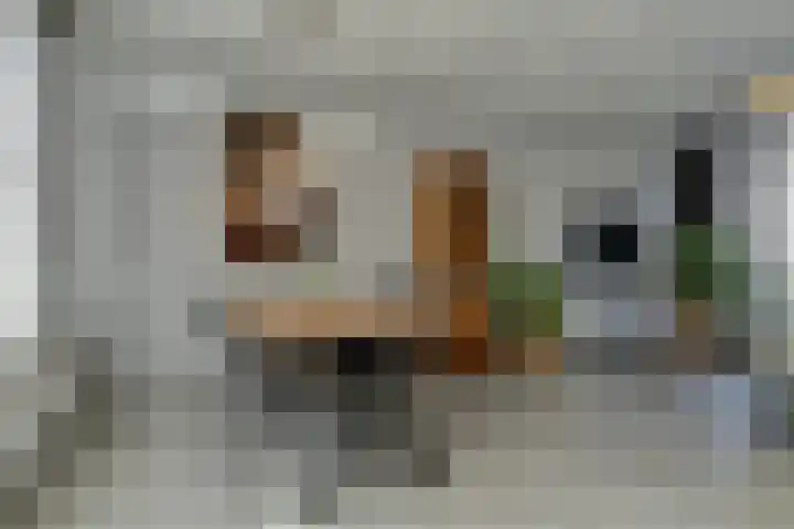 Nicolaas Sichmansstraat 17 Eersel thumbnail 14