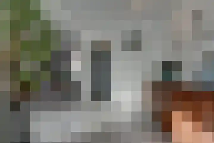 Nicolaas Sichmansstraat 17 Eersel thumbnail 15