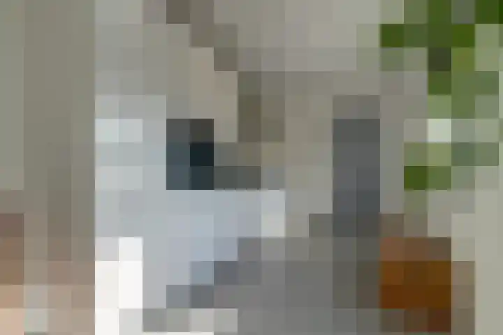 Nicolaas Sichmansstraat 17 Eersel thumbnail 16
