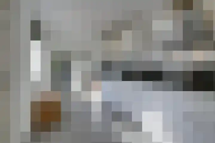 Nicolaas Sichmansstraat 17 Eersel thumbnail 18