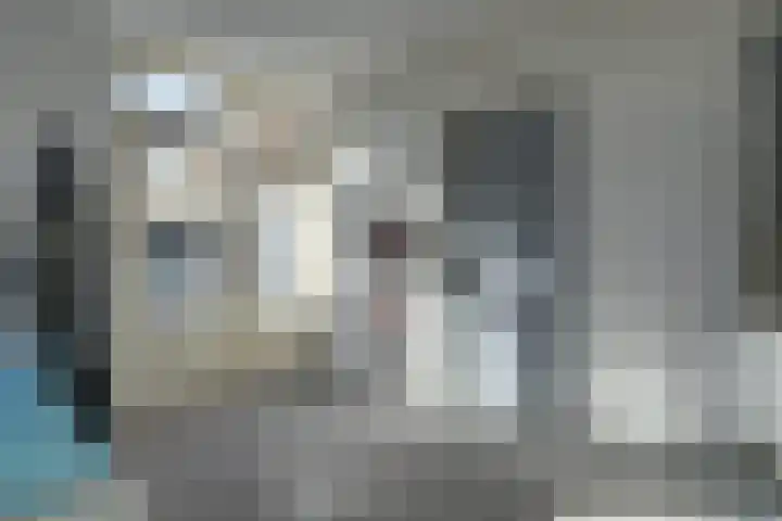 Nicolaas Sichmansstraat 17 Eersel thumbnail 20