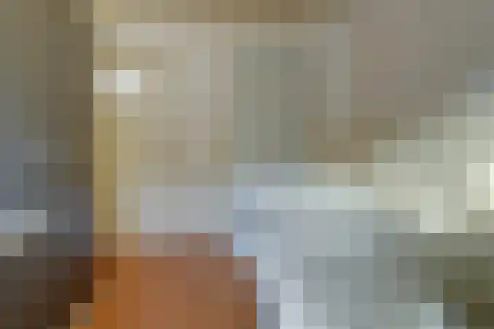 Nicolaas Sichmansstraat 17 Eersel thumbnail 27