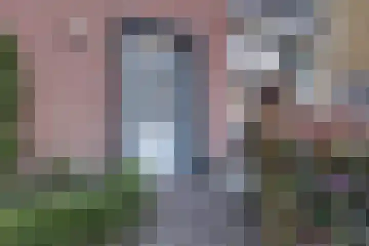Nicolaas Sichmansstraat 17 Eersel thumbnail 4