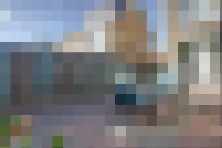 Nicolaas Sichmansstraat 17 Eersel thumbnail 40