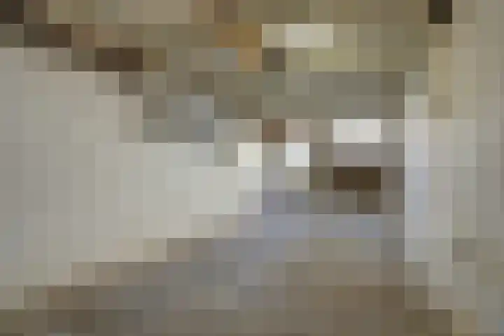 Nicolaas Sichmansstraat 17 Eersel thumbnail 42